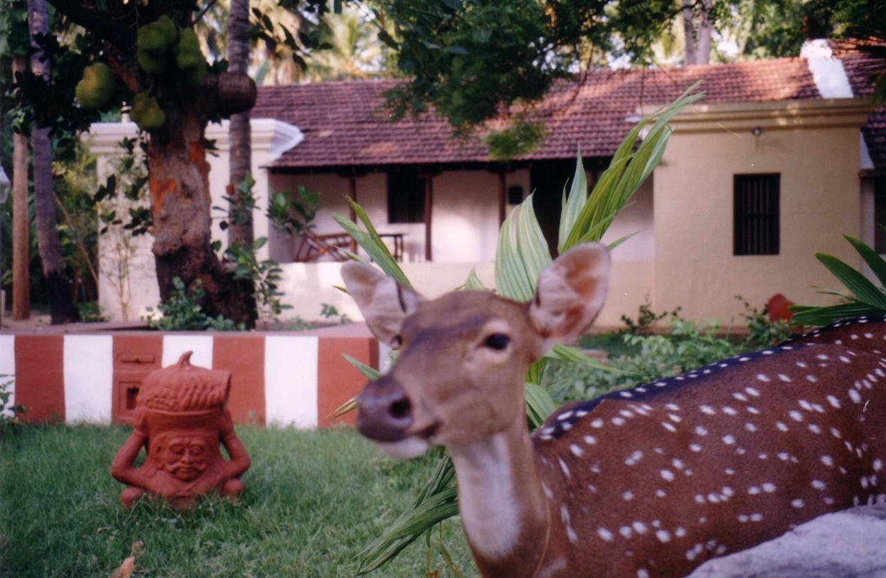 Indeco Hotels Swamimalai Kumbakonam Exteriör bild